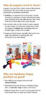 NYLABONE PUPPY CHEW PUPPY STARTER KIT CHICKEN TOT 11 KG - thumbnail