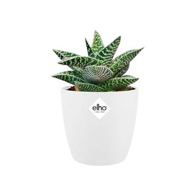 Elho pot brussels rond d12.5cm wit Elho pot brussels rond d12.5cm wit