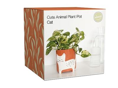 Kat Bloempot