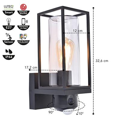 Buitenlamp camera Beveiliging &apos;Flair&apos; metaal glas zwart 32cm - thumbnail