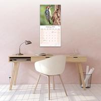 Garden Birds Kalender 2026 - thumbnail