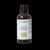 Cruydhof Cinnamomum Zeylanicum Cort/Kaneel Druppels - thumbnail