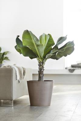 Ecopots Amsterdam kunststof bloempot Taupe - Ø 36,6 cm