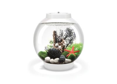 biOrb Classic 15 LED - wit
