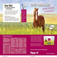 Pavo Vital 8kg Refill - thumbnail