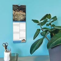 Garden Birds P. Pickering Kalender 2026 Slimline - thumbnail