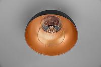 Trio Landelijke plafondlampPunch - R60811032 - thumbnail