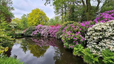 Tuinschilderij bloemenweelde 70x50 Customize-it - Customize it