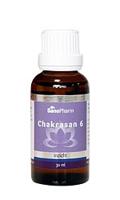 Sanopharm Chakrasan 6 - thumbnail
