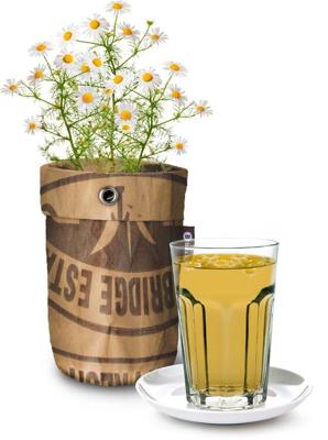 Seeds en tea garden bio kamille