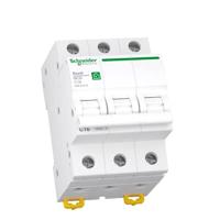 Schneider Electric R9F24316 Zekeringautomaat 16 A 400 V - thumbnail