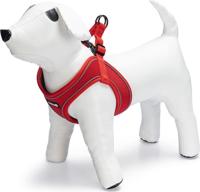 BZ PREM PARINCA INSTAPTUIG RD 44-55 - thumbnail