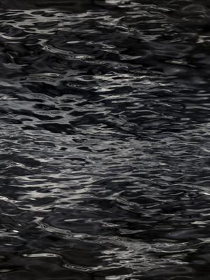 Moooi Carpets - Fluid Oil - 200x300 cm Vloerkleed