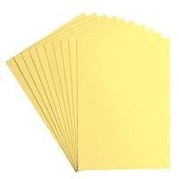 Florence • cardstock papier 216g textuur a4 asparagus 10x - thumbnail