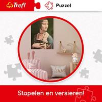 Intro Trefl puzzel van stoomtrein in de bergen 1000 stukjes - thumbnail