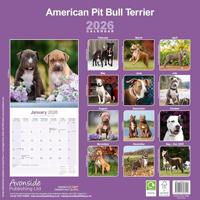 American Pit Bull Terrier Kalender 2026 - thumbnail