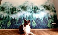 Noordwand Smart Art Easy Fotobehang bos in de mist 47267 - thumbnail