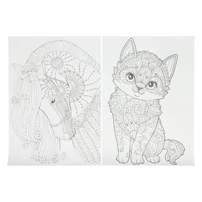 Creative Craft Group Kleuren op nummer met 5 kleurpotloden