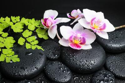 Schilderij - Zen stenen met orchidee, inspiratie , Multikleur , 2 maten , Wanddecoratie