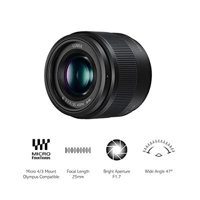 Panasonic Lumix G 25mm F/1.7 ASPH - thumbnail