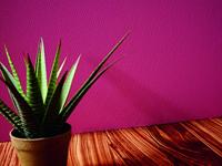 AS Creation MeisterVliesbehang 7 - Wit - 306814 - thumbnail