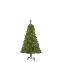 Black Box Kerstboom Charlton met led groen h120 x d76cm - thumbnail