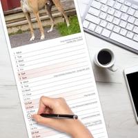 Greyhound Kalender 2026 Slimline - thumbnail