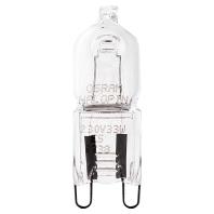 G9 lamp