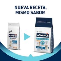 Advance Maxi Adult met kip en rijst hondenvoer 14 kg - thumbnail