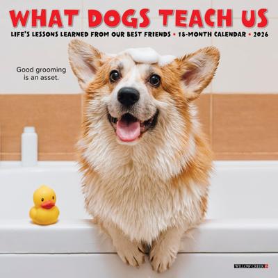 What Dogs Teach Us Kalender 2026 Mini What Dogs Teach Us Kalender 2026 Mini