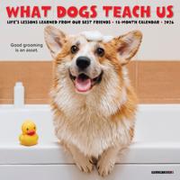 What Dogs Teach Us Kalender 2026 Mini - thumbnail