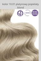 Flowertint Platina As Blond 10.01 140ml - thumbnail