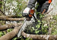 Stihl ms 261 c-m rs pro | benzine kettingzaag | 40 cm - 11412000647 - thumbnail