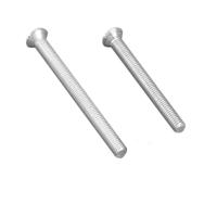 Patentbout staal vernikkeld M4x45mm,zelfborgend - thumbnail