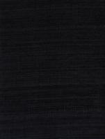 Emil & Hugo Naturalis 214108 - thumbnail