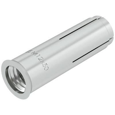 OBO Bettermann 3492026 ES M 12x50 Inslaganker 50 mm 50 stuk(s)