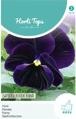 Zaden Viola Viool Zwitserse Reuzen Berna Hortitops - Hortitops
