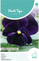 Zaden Viola Viool Zwitserse Reuzen Berna Hortitops - Hortitops - thumbnail