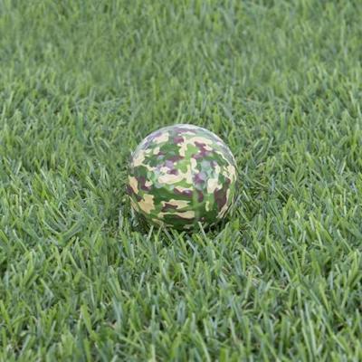 Camouflage golfballen (set van 3)