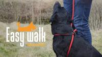 Easy Walk Handmodel Rood - Mini - thumbnail