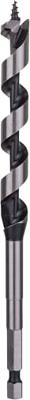 Bosch Accessoires Houtslangenboor, zeskant 12 x 100 x 160 mm, d 6,35 mm 1st - 2608585699 Bosch Accessoires Houtslangenboor, zeskant 12 x 100 x 160 mm, d 6,35 mm 1st - 2608585699