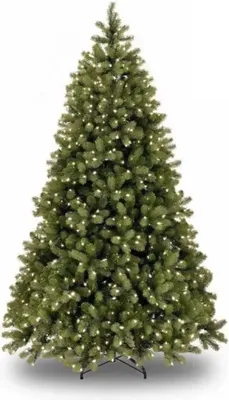National Tree Company Bayberry verlichte kunstkerstboom groen 213cm - 550 lampjes