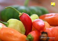 Nikon NIKKOR Z 24-70mm F/4.0 S - thumbnail