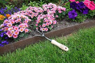 De Wit Cultivator 3 tands