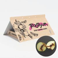 FRUITMOT FEROMOONVAL | Incl 2 feromonen - Cydia pomonella - thumbnail