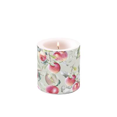 Ambiente Kaars Appels Groen 7,5x8 cm Ambiente Kaars Appels Groen 7,5x8 cm