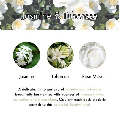 Jasmine & Tuberose Geurstokjes S Ashleigh & Burwood - Ashleigh and burwood Jasmine & Tuberose Geurstokjes S Ashleigh & Burwood - Ashleigh and burwood