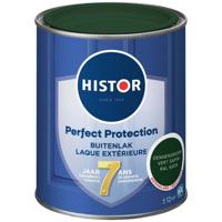 Histor Perfect Protection Buitenlak Hoogglans - RAL 6009 - thumbnail