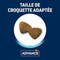 ADVANCE ADULT MEDIUM - thumbnail