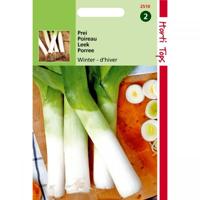 Zaden Prei Winterreuzen 3 Buzzy - Buzzy - thumbnail